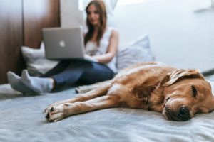 Mujer con su perro en la cama, con una laptop en sus piernas